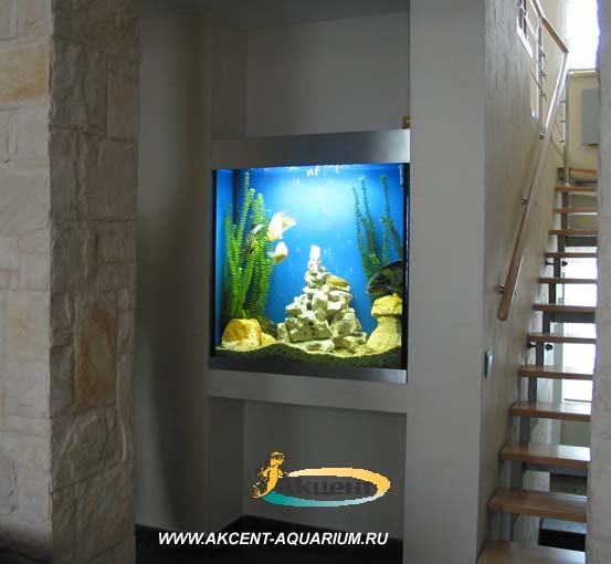 Акцент-Аквариум, аквариум 500 литров в нише